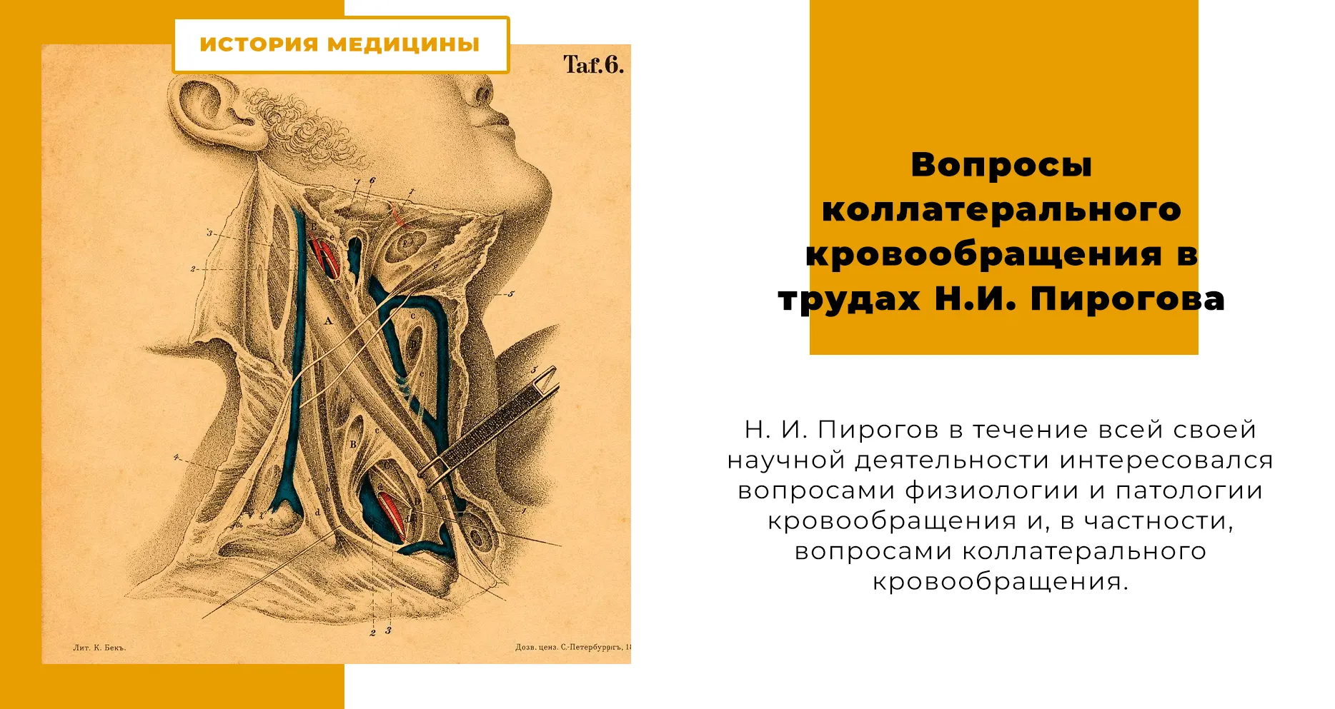 Вопросы коллатерального кровообращения в трудах Н.И. Пирогова