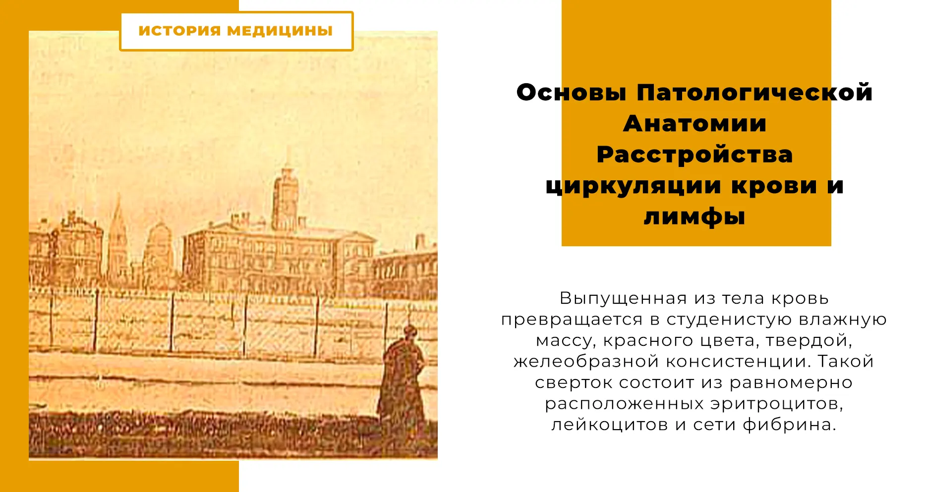 Основы Патологической Анатомии. Расстройства циркуляции крови и лимфы.